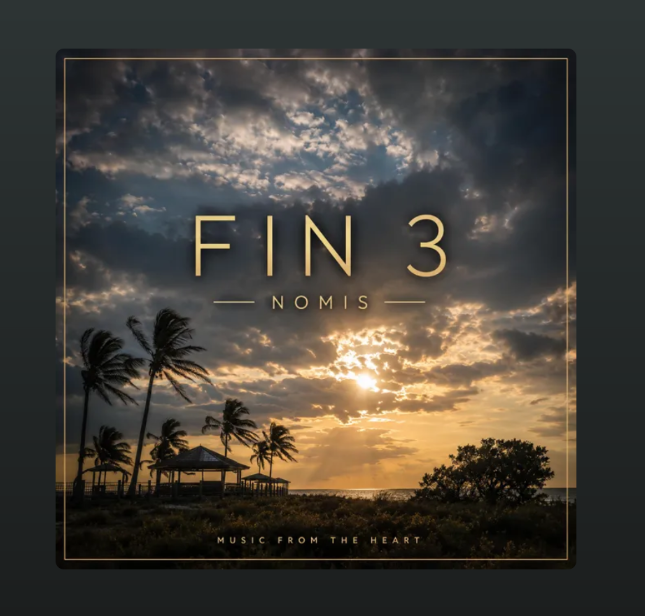 FIN 3